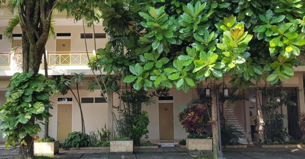 Hotel Sulawesi Jembel Εξωτερικό φωτογραφία