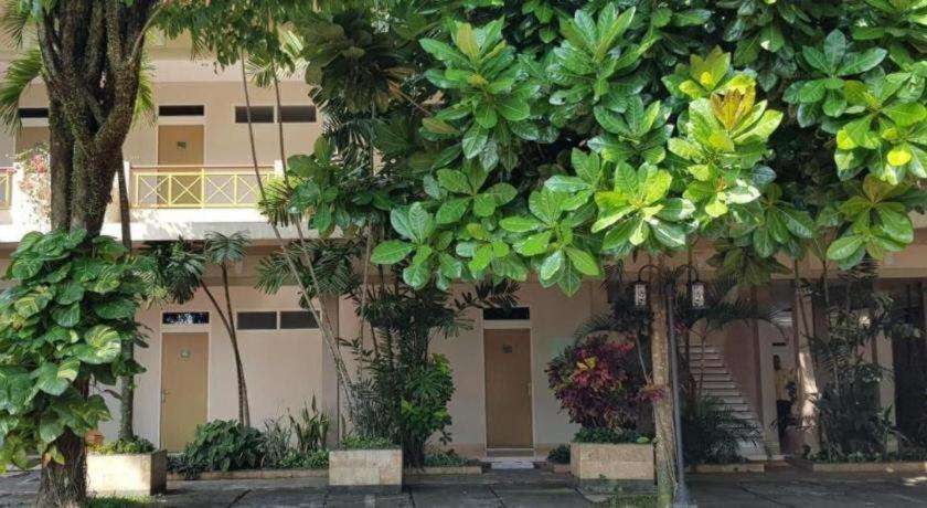 Hotel Sulawesi Jembel Εξωτερικό φωτογραφία